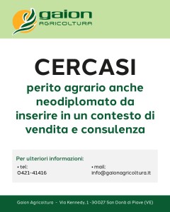 CERCASI